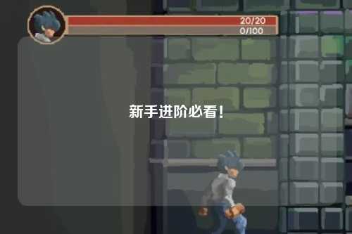 新手進(jìn)階必看！